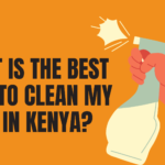 What Is The Best Way To Clean My Oven In Kenya?