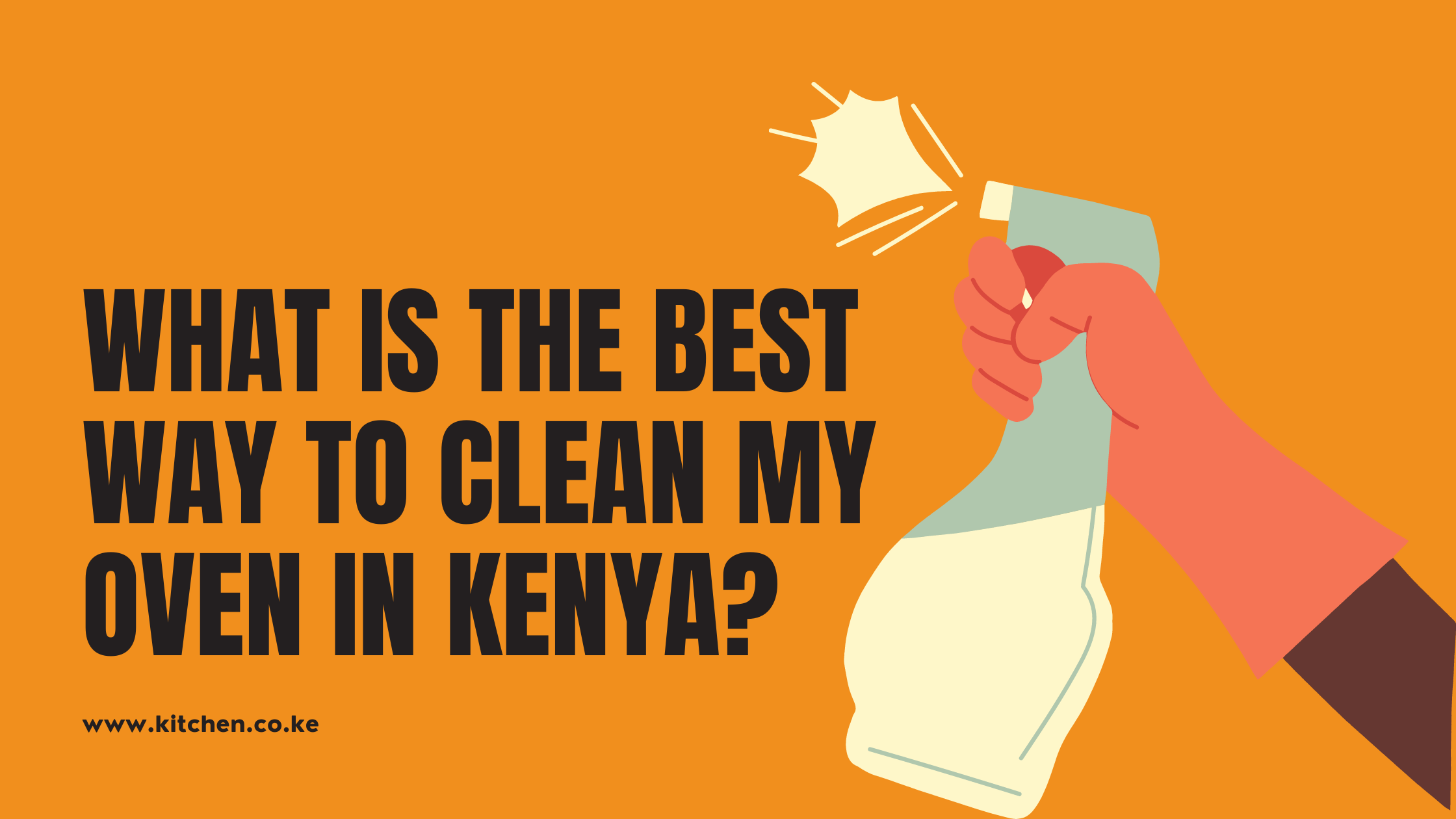 What Is The Best Way To Clean My Oven In Kenya?
