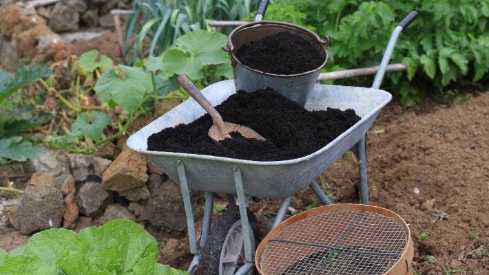 Image of Soil for kitchen garden