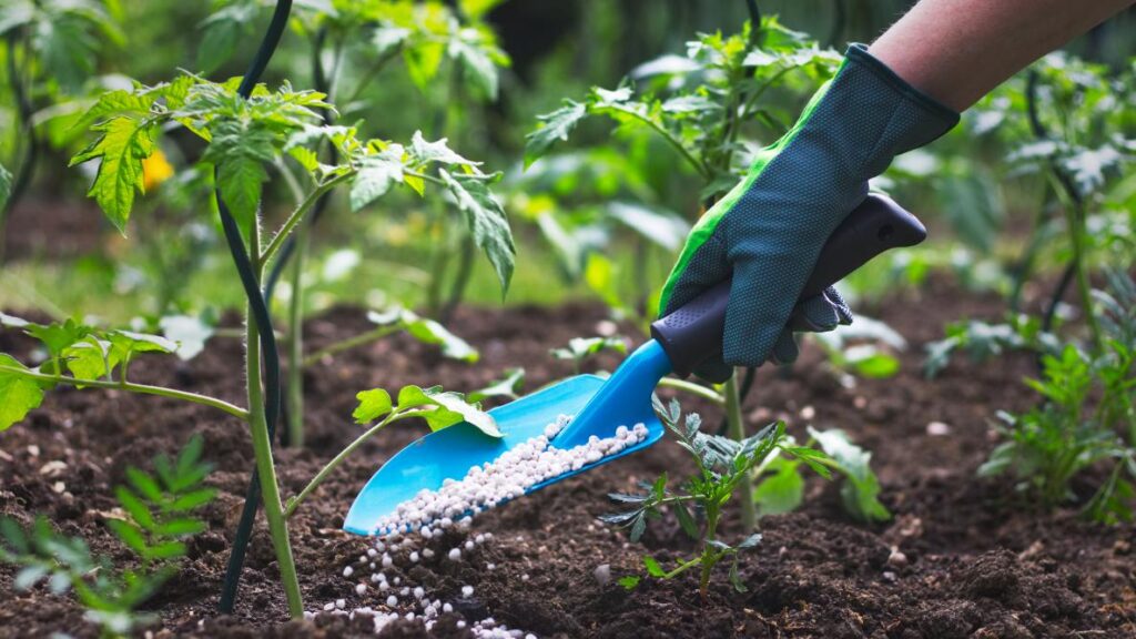 Image of Fertilizer for kitchen garden