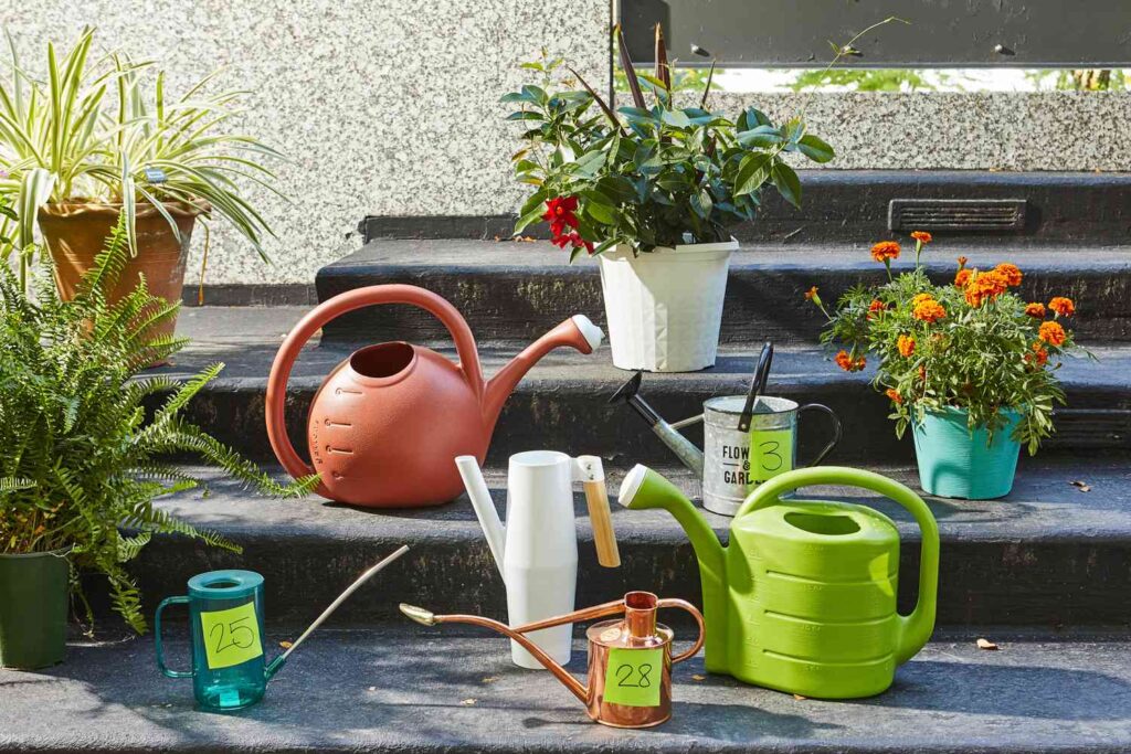Image of Watering can for kitchen garden in kenya
