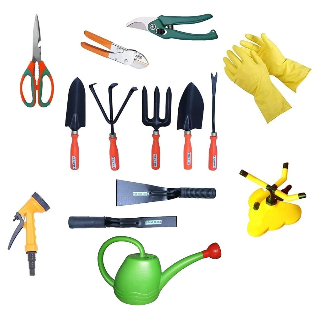 Image of Garden tools for kitchen garden