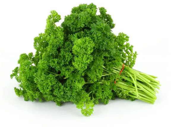 Image of Parsley herb in Kenya