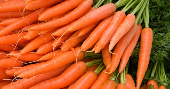 Image of Carrot vegetable in Kenya