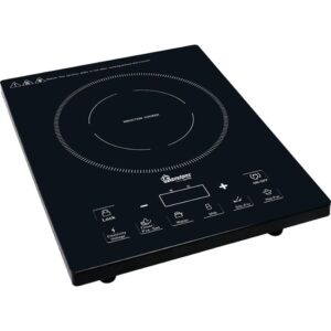 RAMTONS RM/381 INDUCTION COOKER